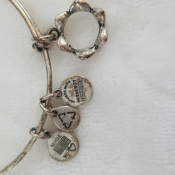 Alex and Ani Queen's Crown bracelet with box - Picture 3 of 13